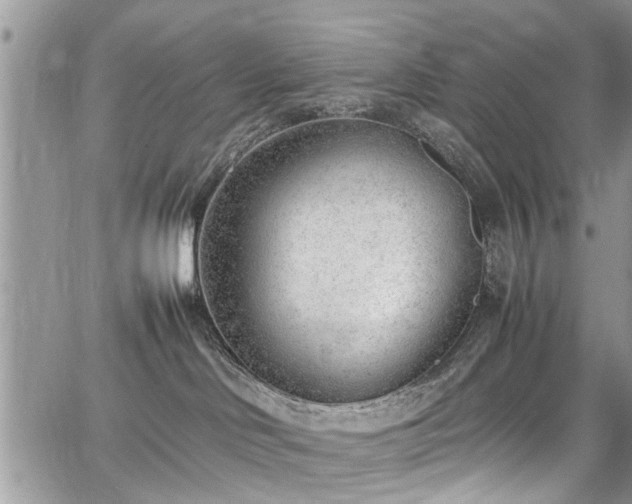 X0000067950046200604171446