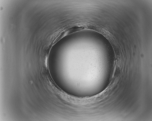 X0000067950047200604171446