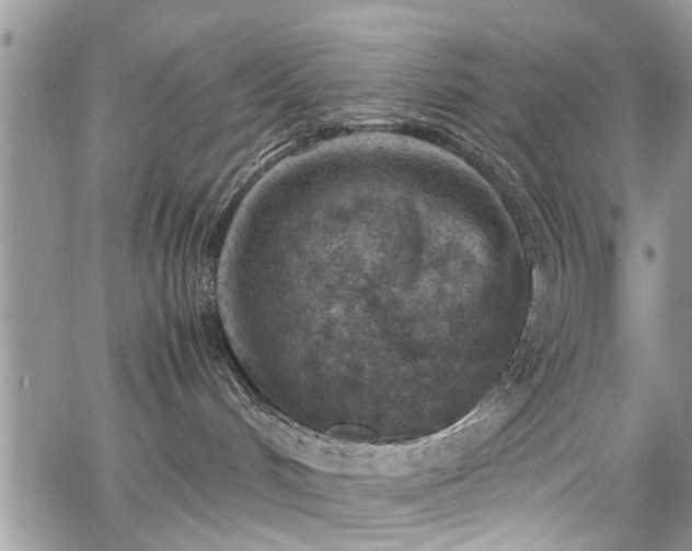 X0000067950048200604171446