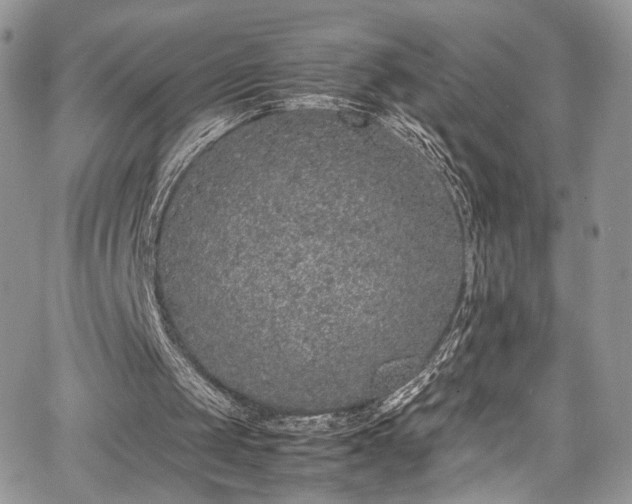 X0000067950049200604171445