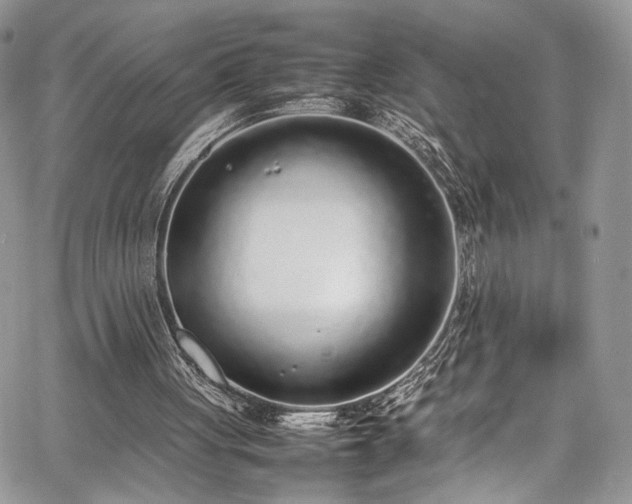 X0000067950051200604171445