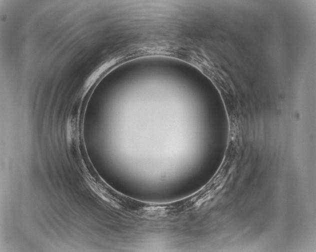 X0000067950052200604171445