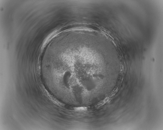 X0000067950053200604171446