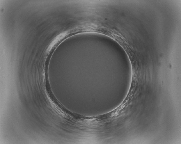 X0000067950054200604171446