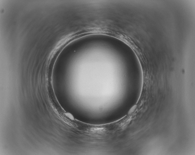 X0000067950055200604171446