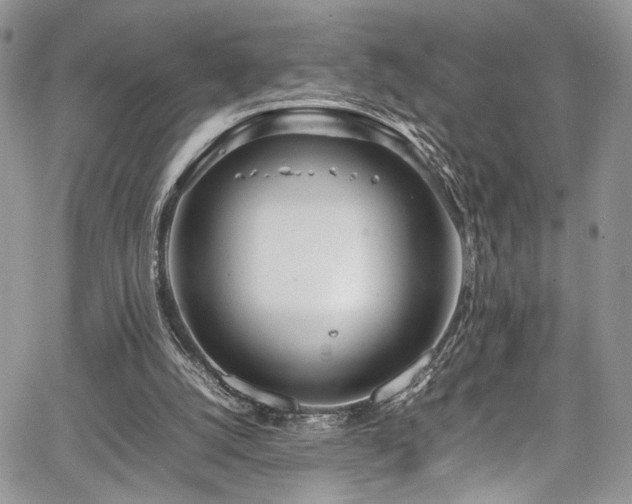 X0000067950056200604171446