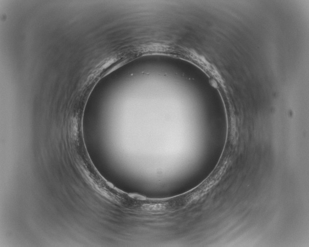 X0000067950057200604171446