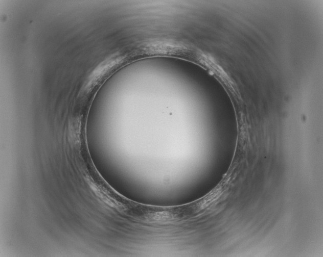 X0000067950058200604171446