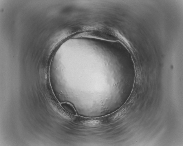 X0000067950059200604171446