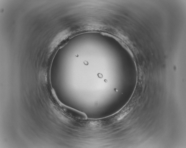 X0000067950060200604171446