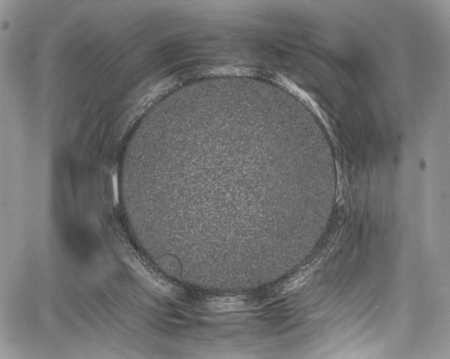 X0000067950061200604171446