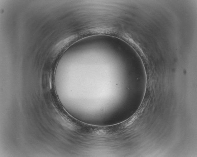 X0000067950062200604171446