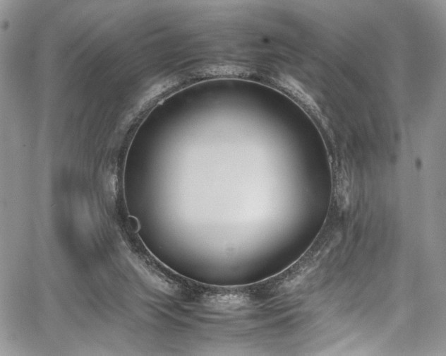 X0000067950063200604171446