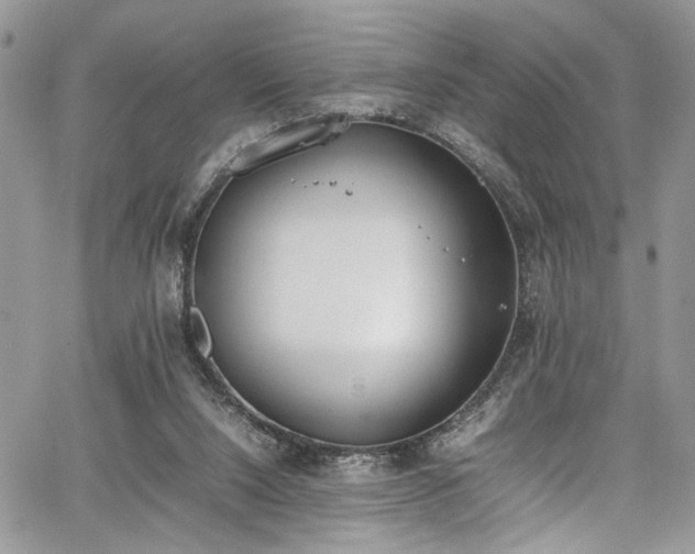 X0000067950064200604171446