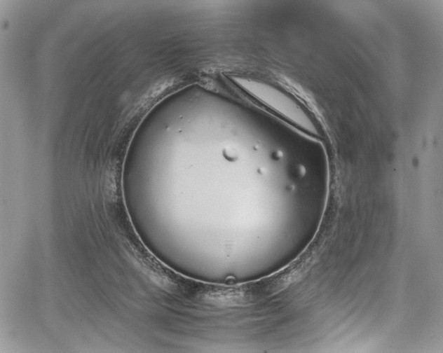 X0000067950065200604171446