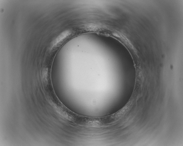 X0000067950066200604171446