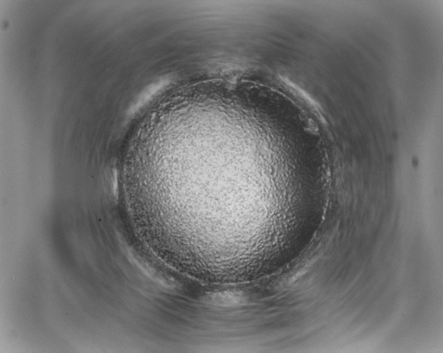 X0000067950067200604171446