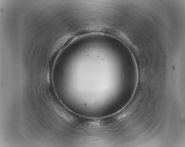 X0000067950068200604171446