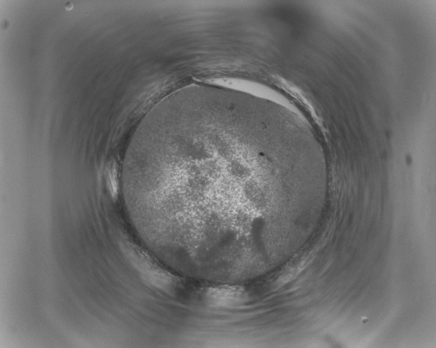 X0000067950069200604171446