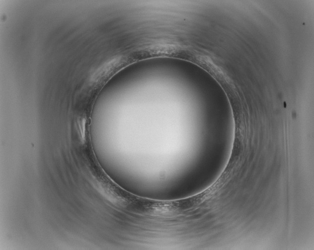 X0000067950070200604171446