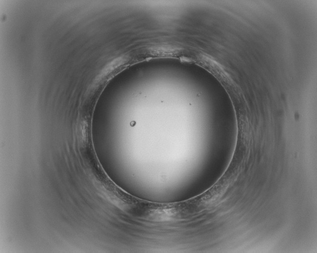 X0000067950071200604171446