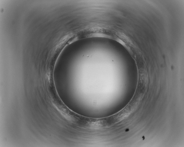 X0000067950072200604171446