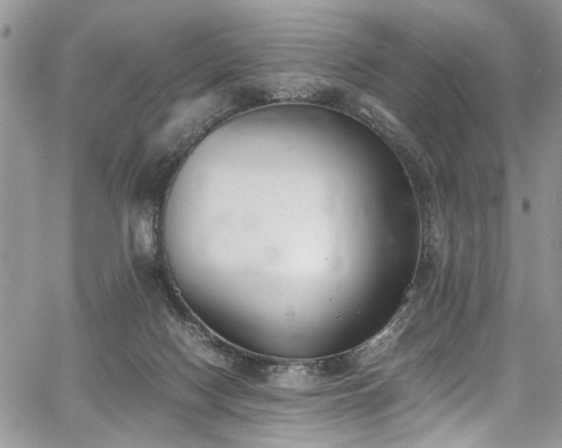 X0000067950074200604171446