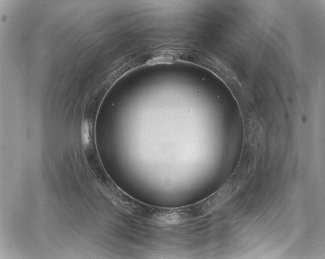 X0000067950075200604171446