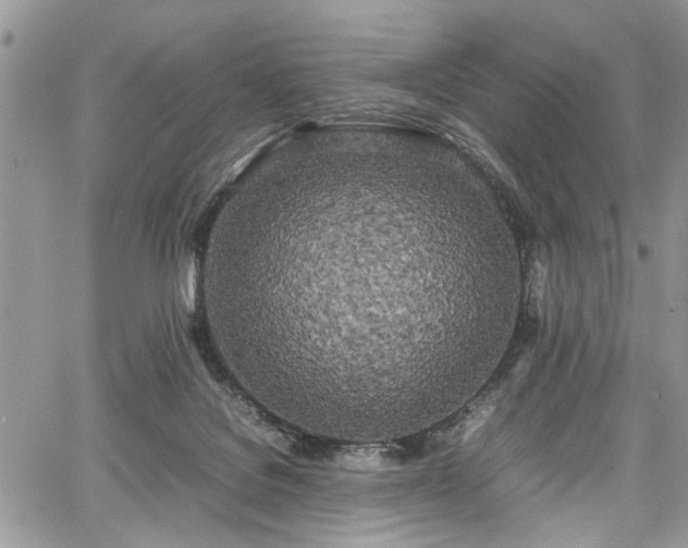 X0000067950076200604171446