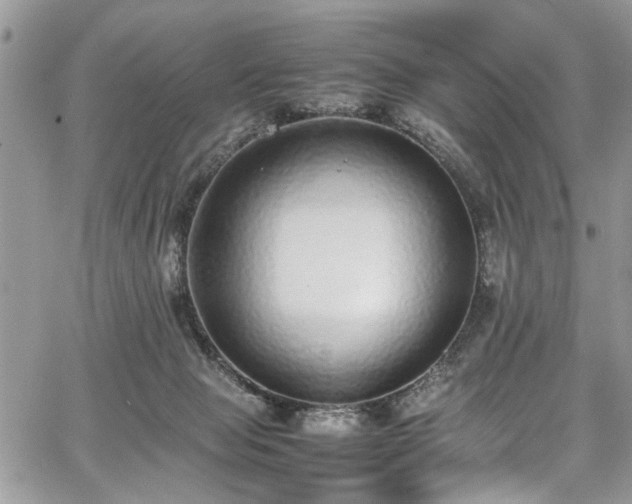 X0000067950077200604171446