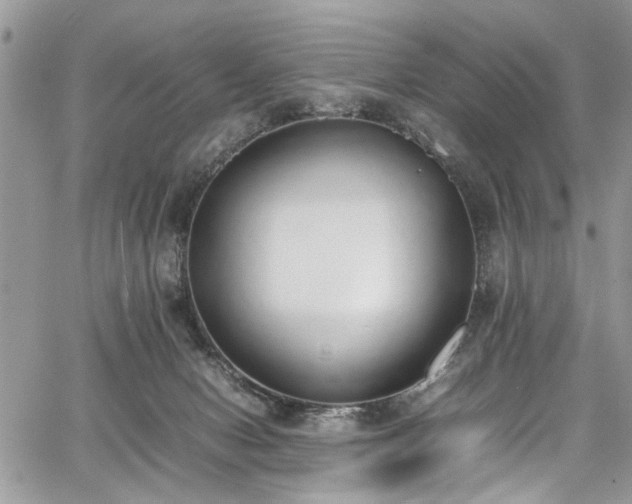 X0000067950078200604171446