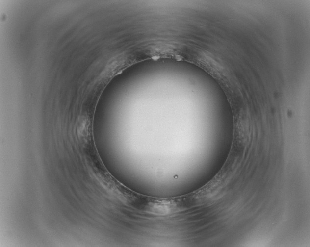 X0000067950079200604171446