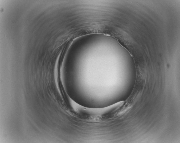 X0000067950080200604171446