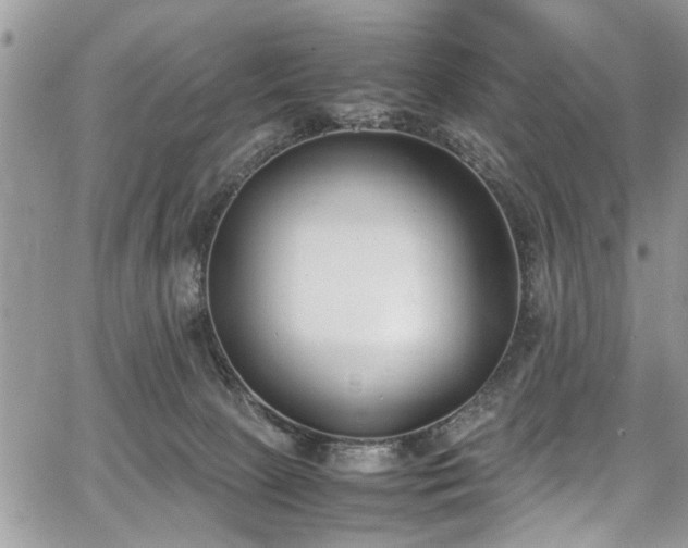 X0000067950081200604171446