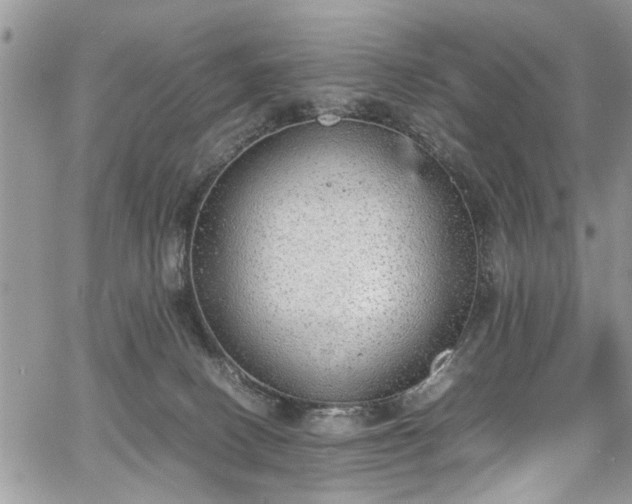 X0000067950082200604171446