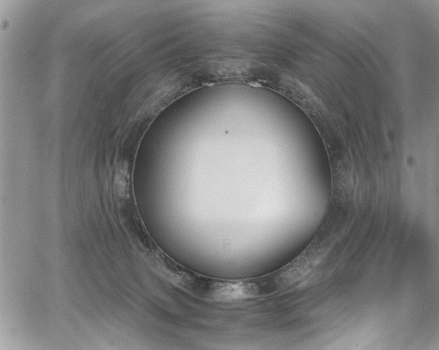 X0000067950083200604171446