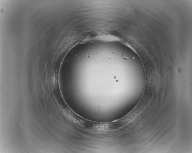 X0000067950084200604171446