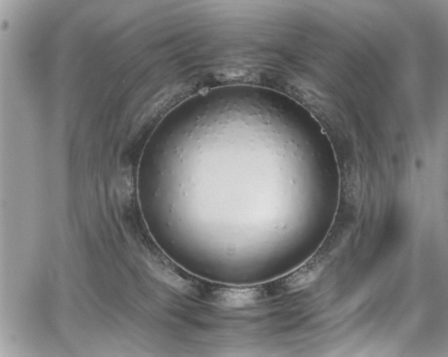 X0000067950085200604171446