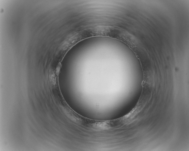 X0000067950086200604171446