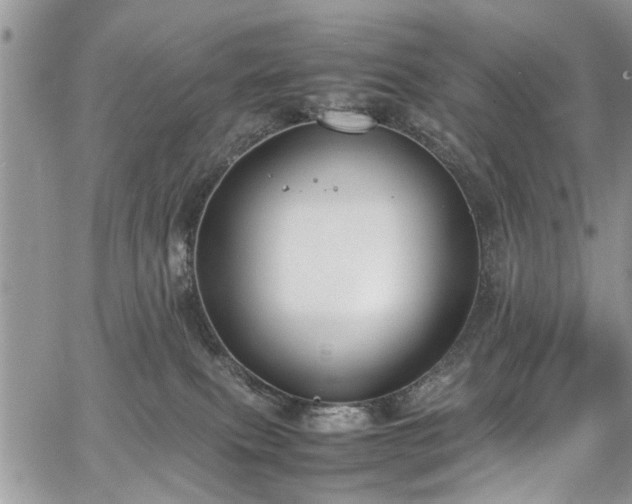 X0000067950087200604171446