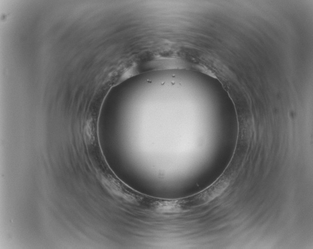 X0000067950088200604171446