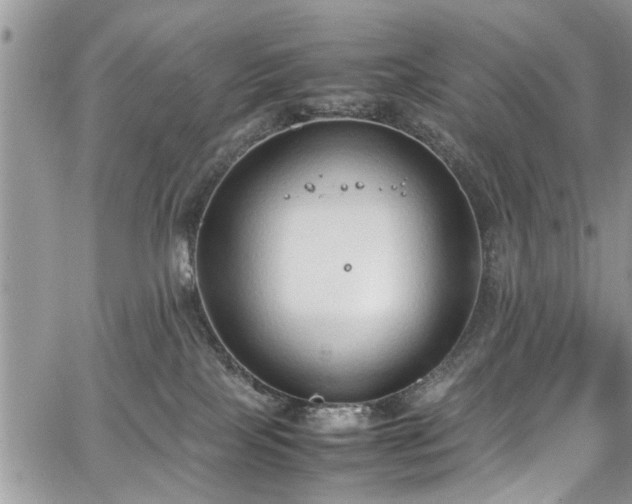 X0000067950089200604171446