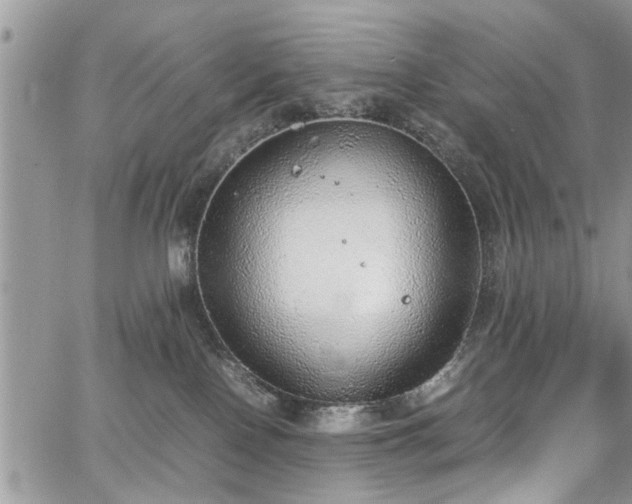 X0000067950090200604171446