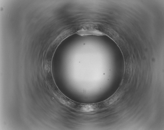 X0000067950091200604171446