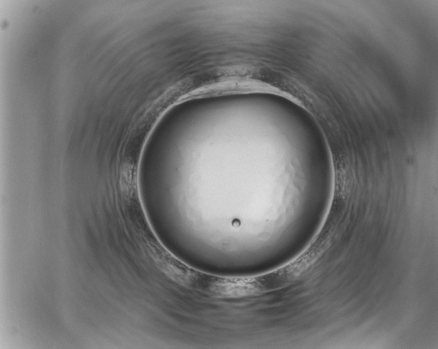 X0000067950093200604171446