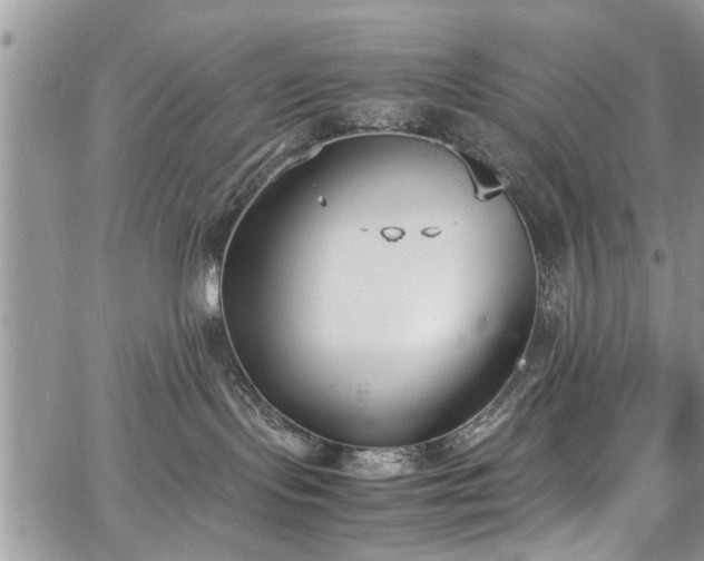 X0000067950095200604171446