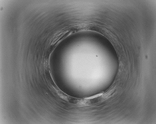 X0000067950096200604171446