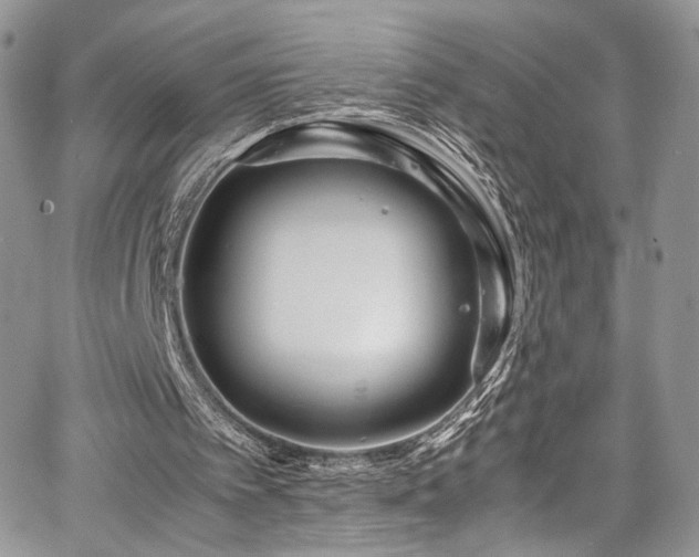 X0000067950097200604171445