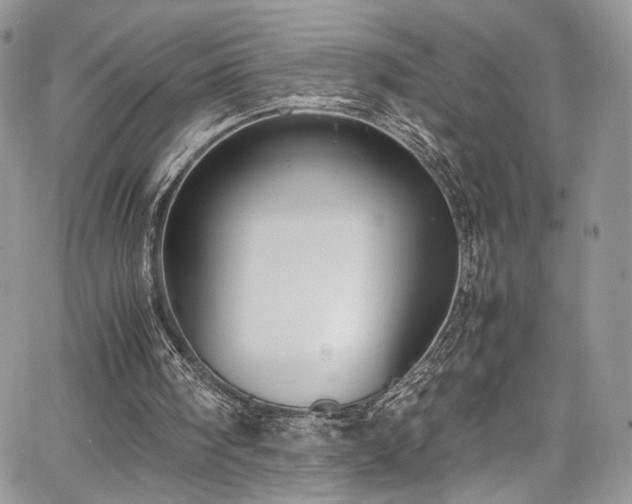 X0000067950098200604171445