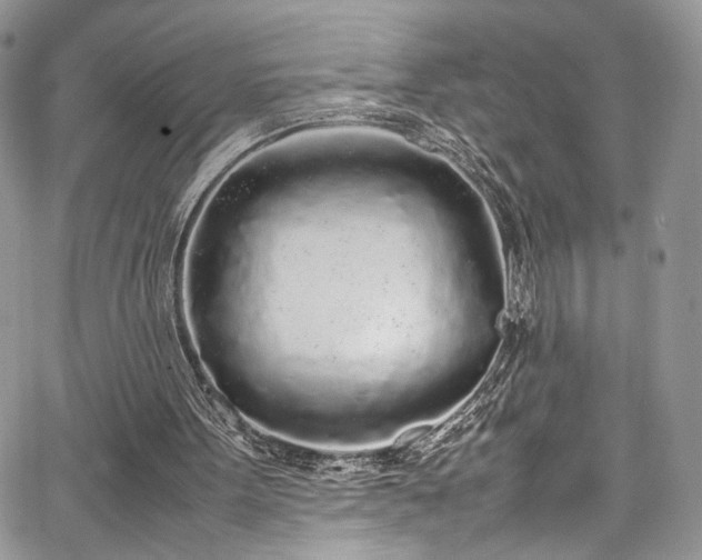 X0000067950099200604171445